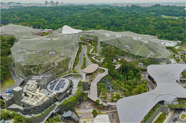 The soon-to-be-launched Bird Paradise in Singapore is set to enhance the list of tourist spots for visitors