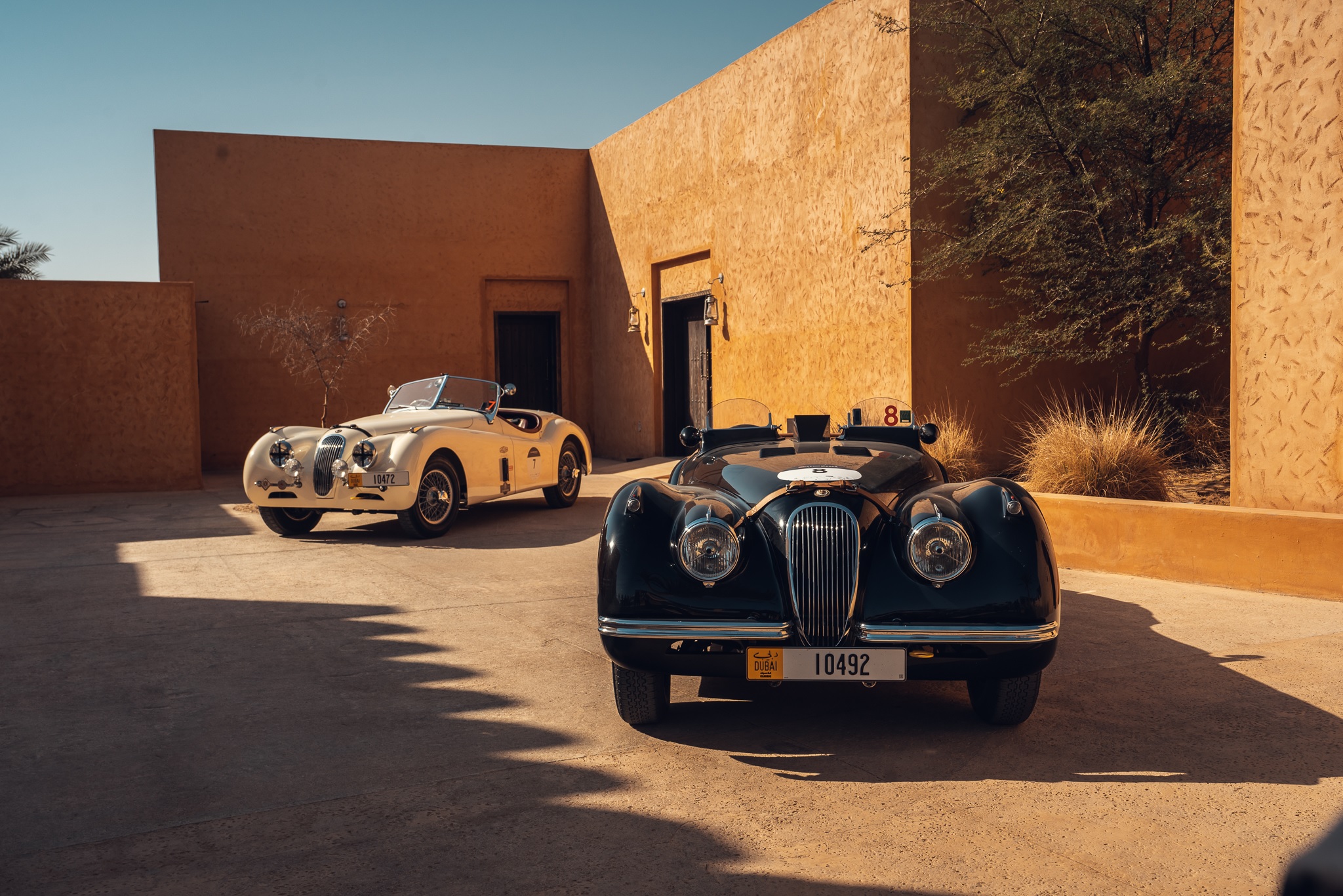 1000 MIGLIA Experience UAE is now available to buy from Jaguar Classic